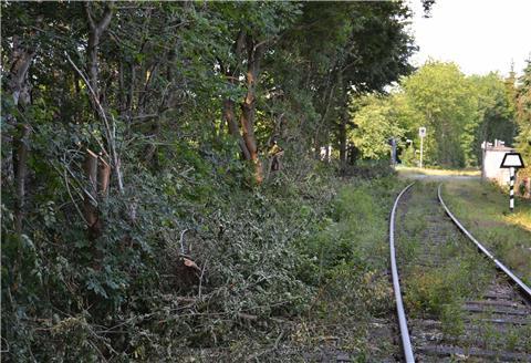 In den Augen von Anwohnern der Gleise haben Arbeiter im Auftrag der EVB entlang der Strecke gewütet. Büsche und Bäume seien zerstört worden, klagen sie mit Blick auf den Bereich An der Kleinbahn und Moorweg.