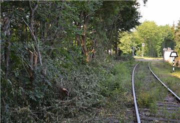 In den Augen von Anwohnern der Gleise haben Arbeiter im Auftrag der EVB entlang der Strecke gewütet. Büsche und Bäume seien zerstört worden, klagen sie mit Blick auf den Bereich An der Kleinbahn und Moorweg.