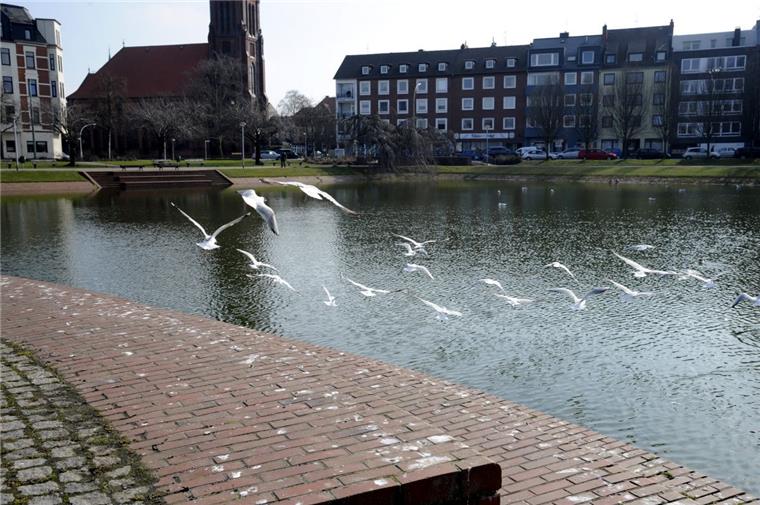 Wasser wird aus dem Holzhafen abgelassen Holzhafen