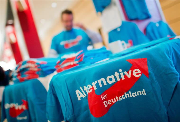 Interner Machtkampf bei der AfD im Land Bremen In der AfD im Land Bremen kriselt es.