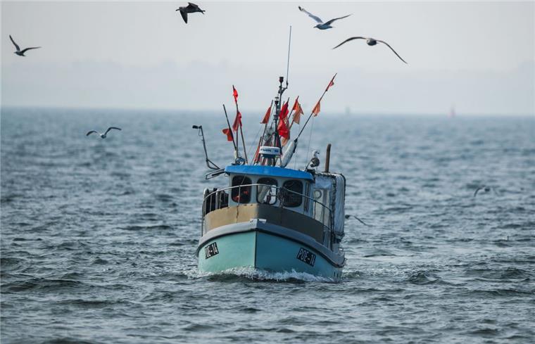 In der Außenweser vor Dorum ist ein Geestländer am Freitag von einem Fischkutter (Symbolfoto) gestürzt.