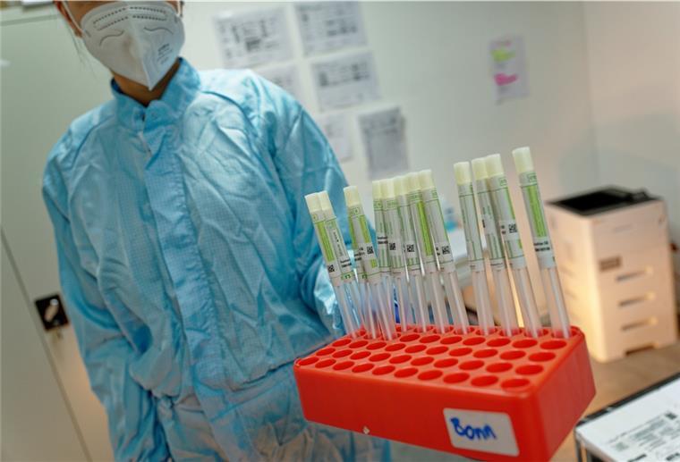Teststäbchen stehen im Labor CBT zur Auswertung mit einem Corona PCR Test in einer Halterung.