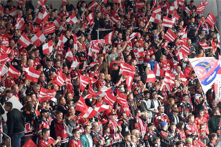 In der Eisarena geht es friedlich zu. Jedoch sorgten zuletzt ein paar Chaoten vor und in fremden Eisstadien für Negativschlagzeilen. Die Pinguins-Fans wollen das nicht hinnehmen.
