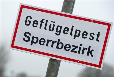 Schild Geflügelpest