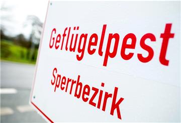 Ein Schild mit der Aufschrift «Geflügelpest Sperrbezirk» steht an einer Straße im Landkreis Cloppenburg.