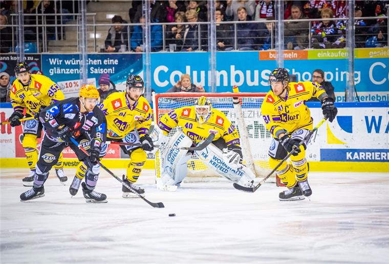 In der kommenden Saison können die Fischtown Pinguins nicht aus der DEL absteigen.