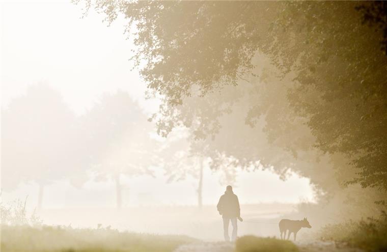 Wulsdorf: Mann irrt im Nebel durch die Straßen In der Nacht zu Donnerstag verirrte sich ein Mann im Wulsdorfer Nebel.