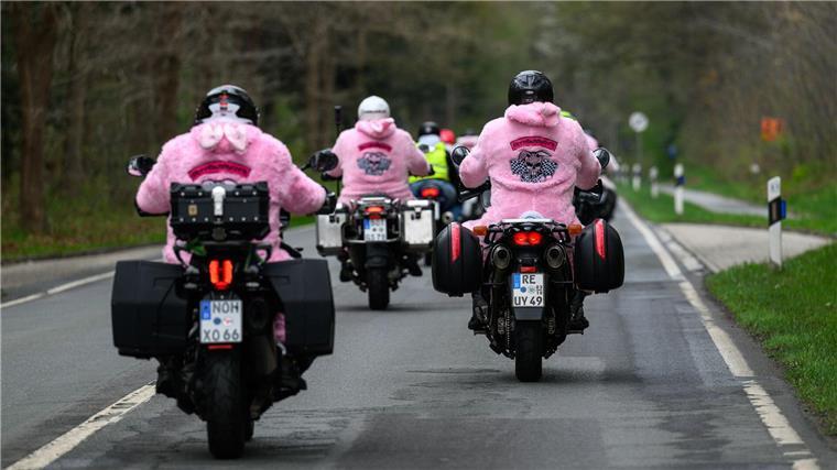 Biker in Hasenkostümen fahren für guten Zweck In der Weser-Ems-Region sind regelmäßig 13 Motoradfahrerinnen und Motoradfahrer der Streetbunnycrew unterwegs.