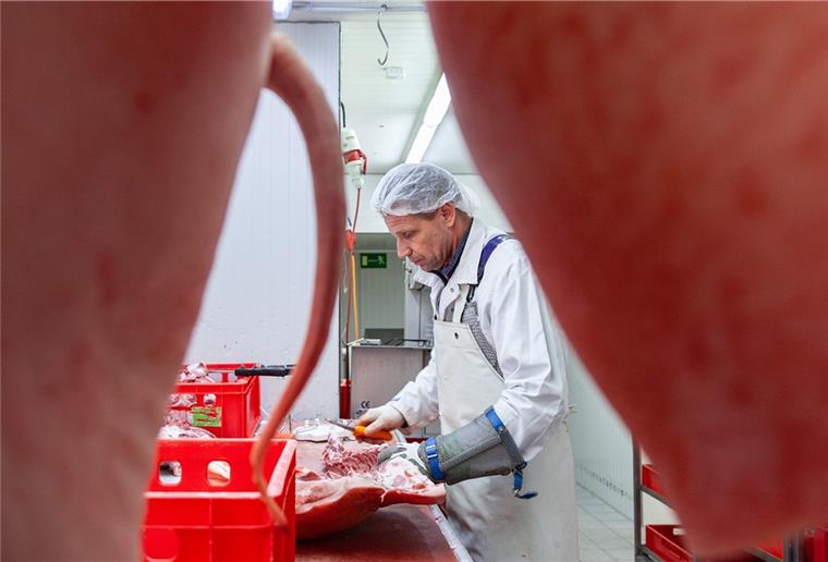 Cuxland pur: Mit Bio-Fleischerei zum Erfolg In der Zerlegeabteilung der Fleischerei „Cuxland pur“ in Hemmoor verarbeitet Olegs Pantelejevs ausschließlich Bio-Schweine mit Ringelschwänzen. In der Regel werden Schweine verarbeitet, bei denen die Schwänze im Ferkelalter ohne Betäubung entfernt wurden, um zu verhindern, dass sich Schweine darin verbeißen.