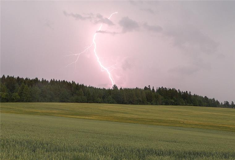 Ein Blitz ist bei einem Gewitter in der Nähe von Langenau über einem Waldstück zu sehen.