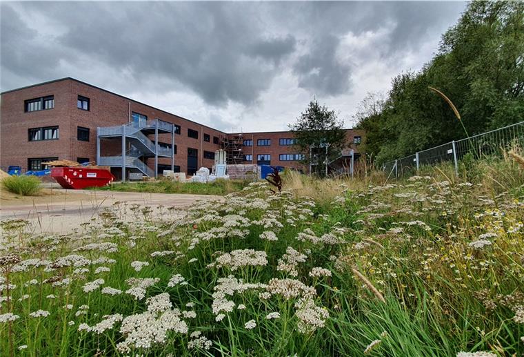 Corona-Fall an der Oberschule Dorum Labor Gummihandschuh testgeräte