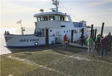 In Eckwarderhörne macht die „Harle Kurier“ an einem in die Jahre gekommenen, regelmäßig von Algen überzogenen und zudem nicht barrierefreien Anleger fest.