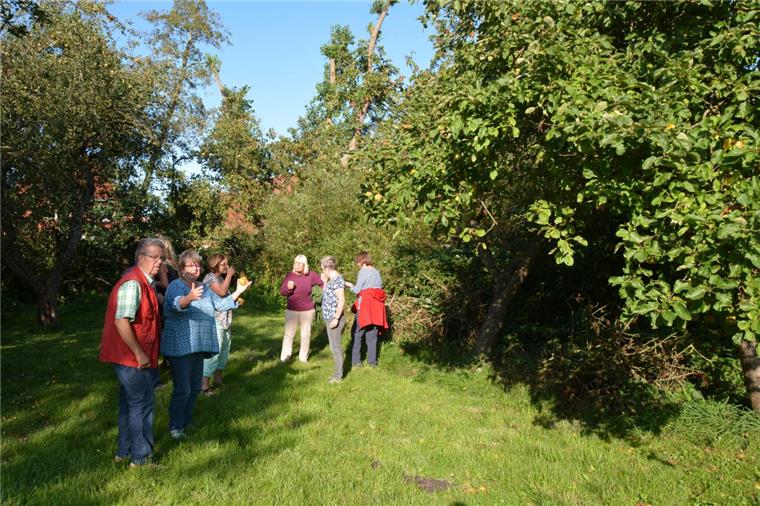 Initiative in Dorum: Blumenwiesen statt öder Rasenflächen In einem ersten Schritt will die Gruppe in Dorum diesen ehemaligen Garten umgestalten.