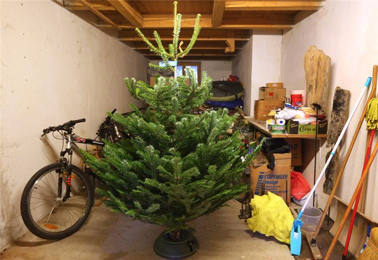 Frostfreier Keller: Lagertipp für den Weihnachtsbaum Frostige Temperaturen: Im Keller lässt sich der Weihnachtsbaum gut lagern.