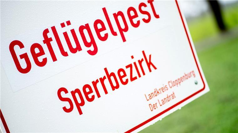 Geflügelpest in Betrieb in Grafschaft Bentheim nachgewiesen In einem Legehennenbetrieb in der Grafschaft Bentheim ist ein Erreger der hochansteckenden Vogelgrippe festgestellt worden.