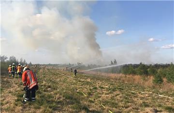 In einem Torfabbaugebiet ist ein Moorbrand ausgebrochen. 17 Feuerwehren aus den Landkreisen Leer, Cloppenburg und Emsland seien im Einsatz, sagte ein Polizeisprecher am Dienstag.

