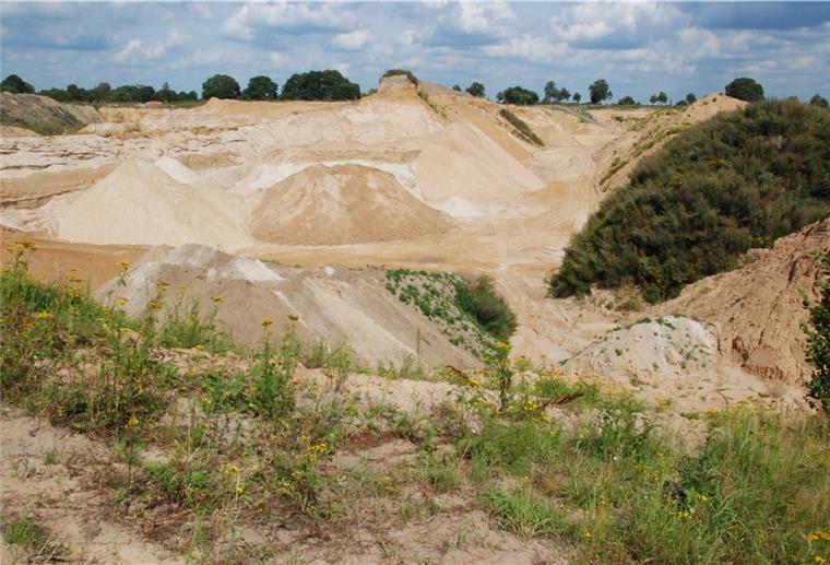Schuttplatz oder Schatzgrube? In einer alten Sandkuhle am Weißenberg in Driftsethe, nicht weit von der A27, will der Unternehmer Jörg Freimuth eine Bauschutt-Deponie errichten. Die Gemeinde Hagen kämpft dagegen. Sie plant direkt nebenan einen Naturerlebnis-Park.