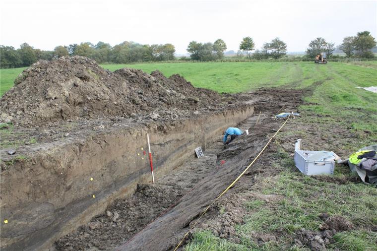 Historisches Bodendenkmal: Wurt in Schweewarden entdeckt In einer ersten Grabung ist eine Geländeerhöhung nördlich von Schweewarden untersucht worden. Dabei hat sich herausgestellt, dass es sich um eine mittelalterliche Wurt handelt.