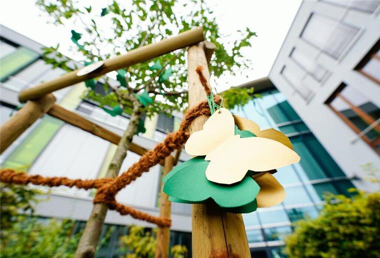 In Gedenken an die durch ihren Ex-Freund getötete Abiturientin hat die Schulgemeinde ein Mandelbäumchen auf ihrem Gelände gepflanzt. (Archivblid)