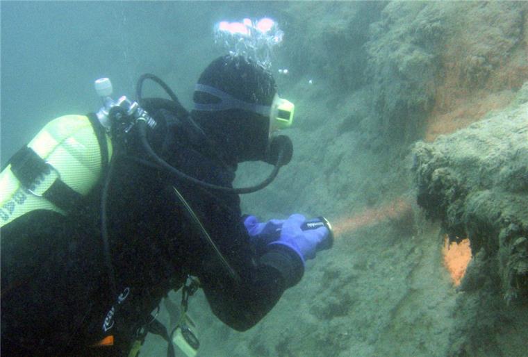 Cuxland: Frau (48) bei Tauchunfall im Hagener Grienenbergsee schwer verletzt In Hagen hat es einen Tauchunfall gegeben.
