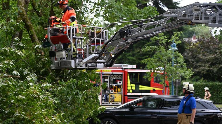 In Leer stürzte ein Baum auf ein Auto. 