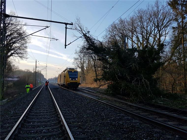 Bahnstrecke bei Lübberstedt lange gesperrt: Baum fällt auf Oberleitungen In Lübberstedt ist ein Baum auf die Oberleitungen der Bahnstrecke gestürzt. Die Strecke zwischen Bremerhaven und Bremen musste lange gesperrt werden.
