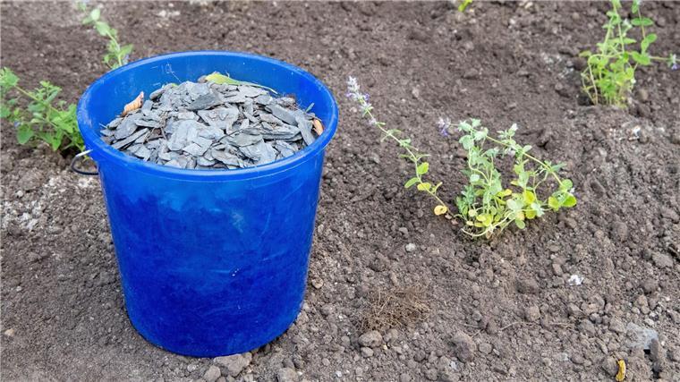 Stadt Lüneburg geht verstärkt gegen Schottergärten vor In Lüneburg sollen Schottergärten umgestaltet werden.