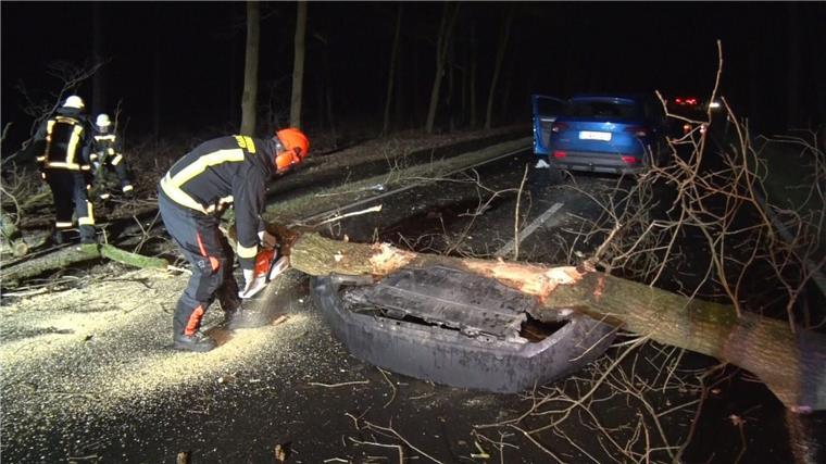 Sturmschäden in Niedersachsen - mehrere Verletzte In Meppen ist ein Baum auf ein Auto gefallen und hat die Fahrerin leicht verletzt.