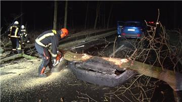 In Meppen ist ein Baum auf ein Auto gefallen und hat die Fahrerin leicht verletzt. 