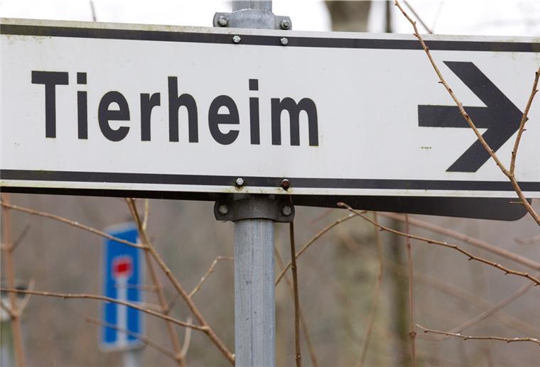 Frau wirft Hund über Tierheim-Zaun Ein Schild «Tierheim» ist vor einem Schild «Sackgasse» zu sehen.