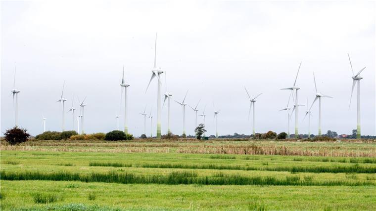 Niedersachsen treibt Ausbau der Windkraft weiter voran In Niedersachsen drehen sich immer mehr Windräder. (Archivbild)