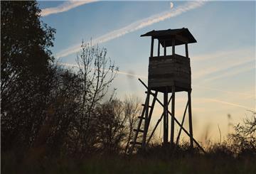 In Nordholz wurde ein Hochsitz manipuliert.
