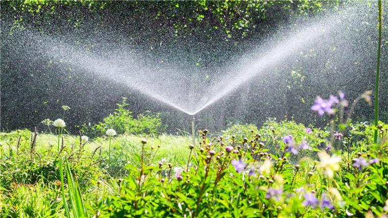 Zu wenig Regen - Oberboden staubtrocken In Parks und Gärten muss derzeit viel bewässert werden, damit die Pflanzen nicht vertrocknen.
