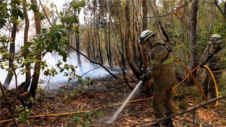 In Portugal gibt es eine leichte Entspannung bei den schweren Waldbränden. Noch aber sind rund 1.400 Feuerwehrleute im Einsatz.