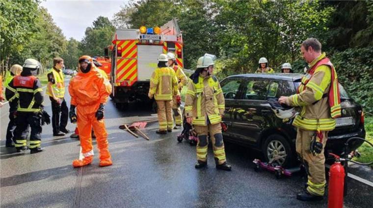 Stade: Exotische Spinne krabbelt in Bananenkiste - Feuerwehreinsatz In Schutzanzügen suchen die Einsatzkräfte nach der exotischen Spinne.