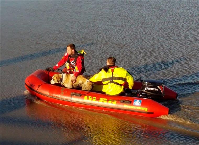 Butjadingen: DLRG und Feuerwehr retten Hund von Sandbank In Sicherheit: Mit einem Schlauchboot musste der Hund aus seiner misslichen Lage gerettet werden.