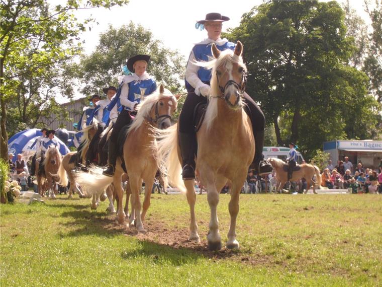 Ein Pflichttermin für Pferdefreunde in Stollhamm In Stollhamm geht am 8. September die Veranstaltung "Butjadingen Galopp" über die Bühne.