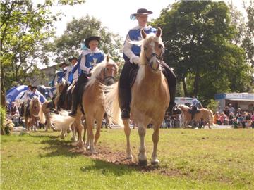 In Stollhamm geht am 8. September die Veranstaltung "Butjadingen Galopp" über die Bühne. 