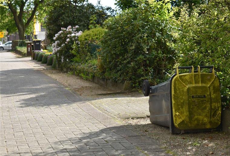 Wer ist eigentlich für die gelben Tonnen zuständig? Abholung scheitert im Kreis Rotenburg Eine Gelbe Tonne liegt neben dem Fußweg