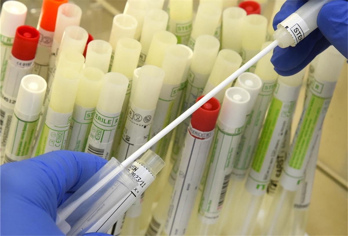 Westerstede: Grundschule nach Corona-Ausbruch geschlossen In einem PCR-Labor vom MVZ Labor bereitet die Leiterin der infektiologischen PCR-Abteilung, Dr. Katja Sänger, an der Sicherheitswerkbank Abstrichtupfer von Patienten für die SARS-CoV-2-Diagnostik an einem Analysegerät vor.