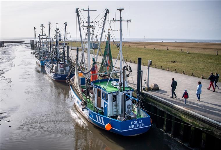 Wremen: Konzert am Kutterhafen fällt aus In Wremen wird am Mittwochabend schlechtes Wetter erwartet.