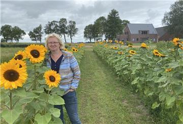 Ina Francksen-Geil hat in Phiesewarden ein Selbstpflücker-Blumenfeld angelegt.