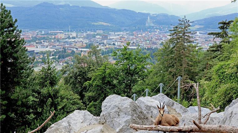 Wien und Innsbruck bewerben sich für ESC 2026 Innsbruck bewirbt sich als ESC-Bühne in den Alpen. (Archivbild)