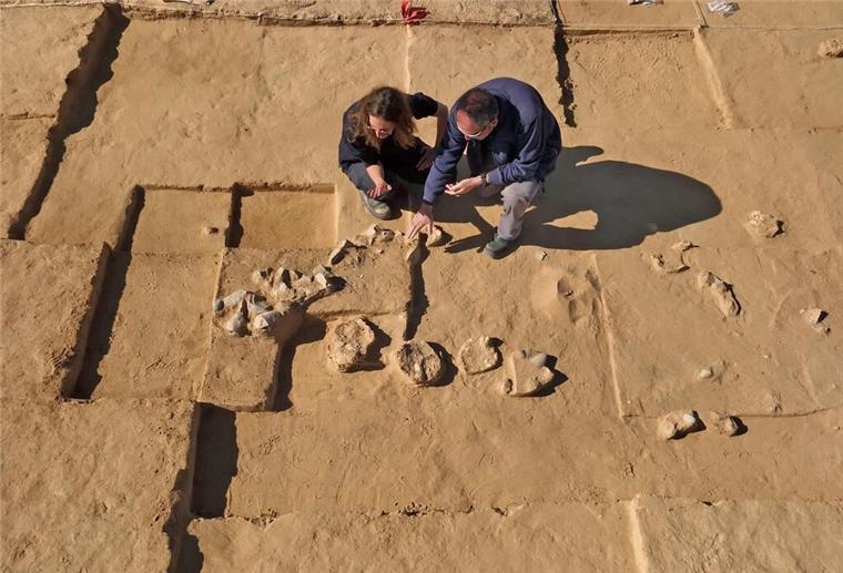 Mehr als 4000 Jahre alte Straußeneier in Israel entdeckt Forscher:innen sitzen in einer Ausgrabungsstätte und inspizieren die gefundenen Eierschalen.
