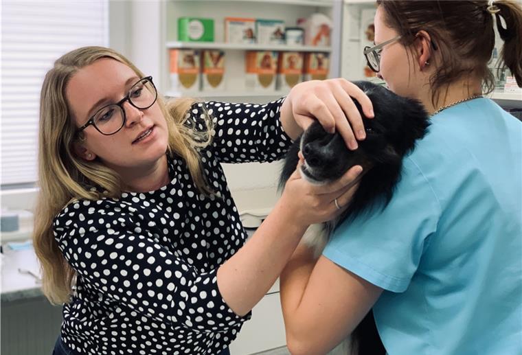 Fundgrube für Haustier-Besitzer: @TierarztTipps erobert Instagram Insta-Tierärztin Linnea Schibalski, einer der Köpfe von @tierarzttipps, untersucht die Schleimhäute bei Aussi Hündin Dinah. Tierarzthelferin Johanna Burwinkel assistiert.