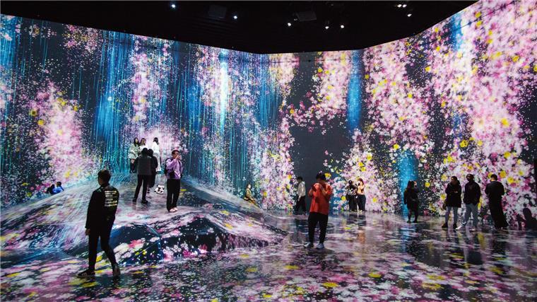 Ist das die Zukunft der Kunst auch in Hamburg? - Digital Art Museum in Tokio:
