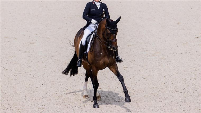 Isabell Werth setzt Erfolgsserie fort Isabell Werth, erfolgreichste Dressurreiterin der Welt, gewinnt den Grand Prix in der Frankfurter Festhalle.