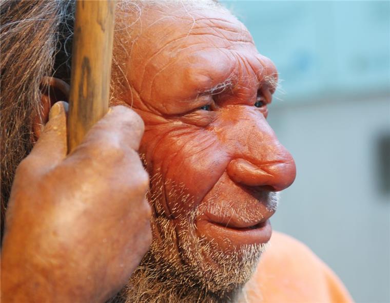 Ein Neubürger fragt: Leben in Bremerhaven nur Neandertaler? Ist Bremerhaven im Neandertaler-Zeitalter stehengeblieben? Diesen Eindruck hat zumindest unser Autor.