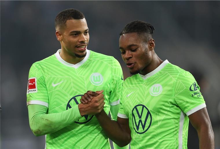 Endspiel gegen Lille: Wolfsburg braucht Sieg in der Champions League Fan-Kurve des Vfl Wolfsburg