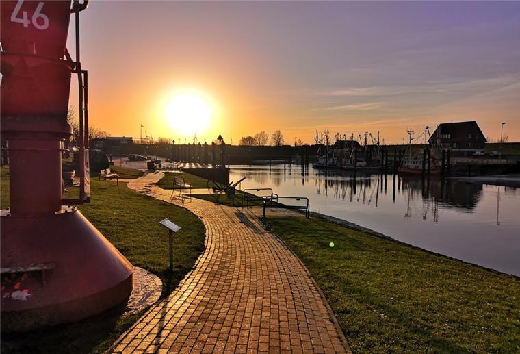 Konzept für den Fedderwardersieler Hafen Ist schon schön, soll aber noch schöner werden: Für die behutsame Neugestaltung des Fedderwardersieler Hafens liegt jetzt ein abgestimmtes Konzept vor.